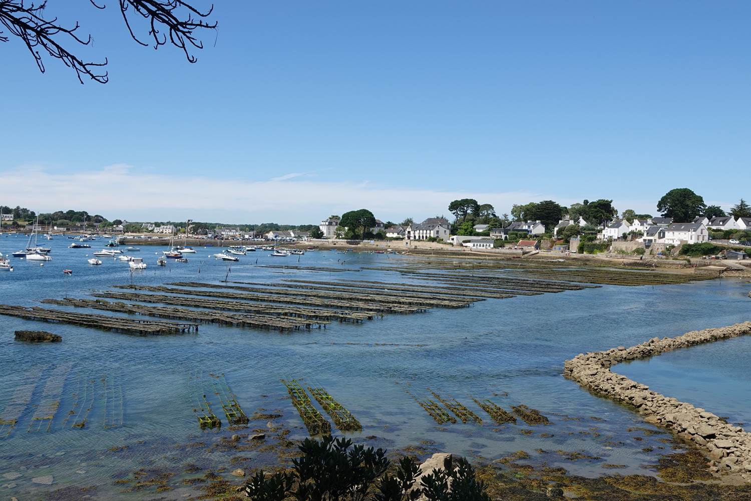 Larmor Baden