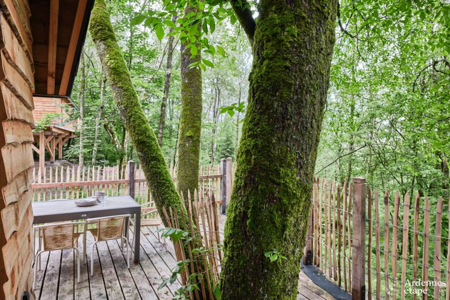 FS4-Insolites-106754-03-Bertrix-1532345-1L