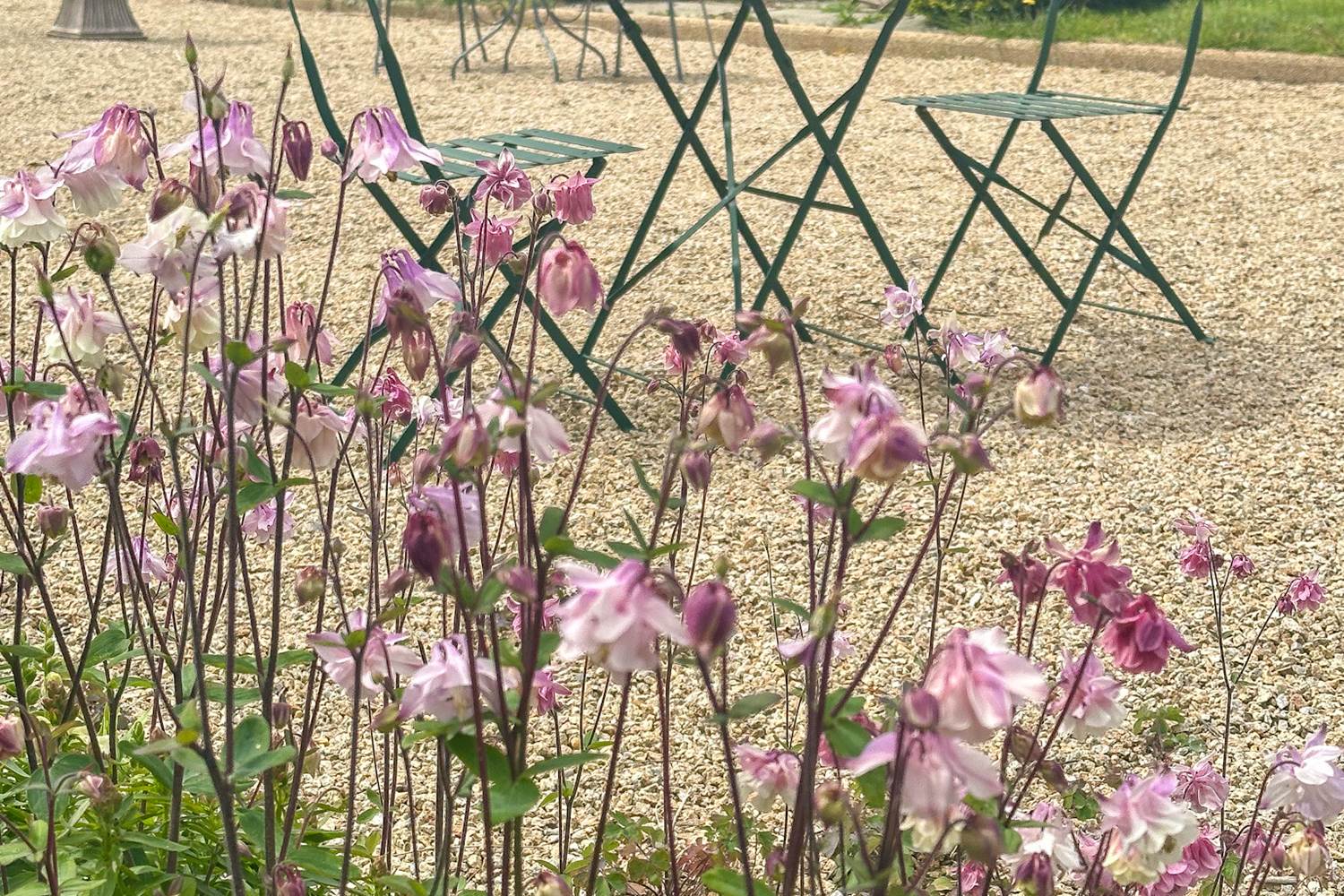 un 1er mai tout en beauté à la Demeure du Porzou