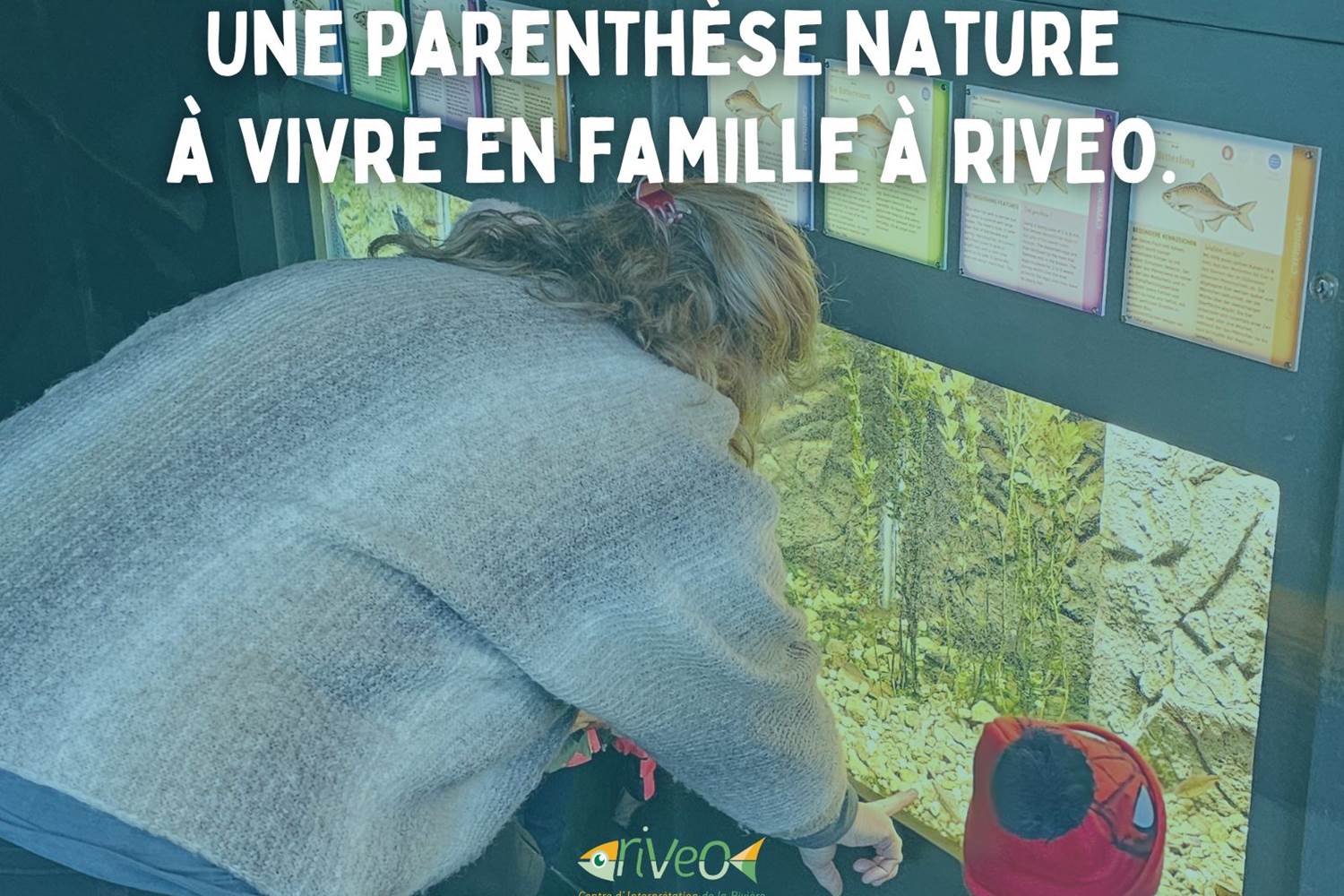riveo-aquariums-exposition-activite-famille-vacances-scolaires-ardenne