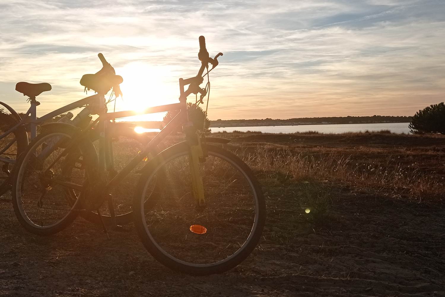 Balade à vélo île de Ré