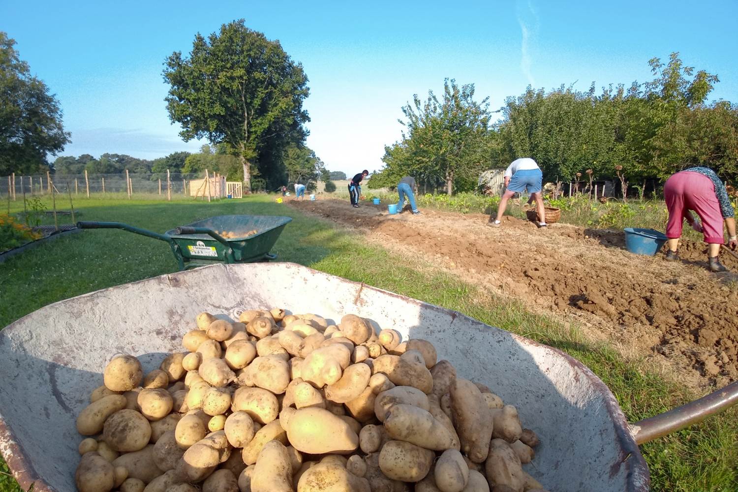 Le Répit de l'Oust - Les récoltes