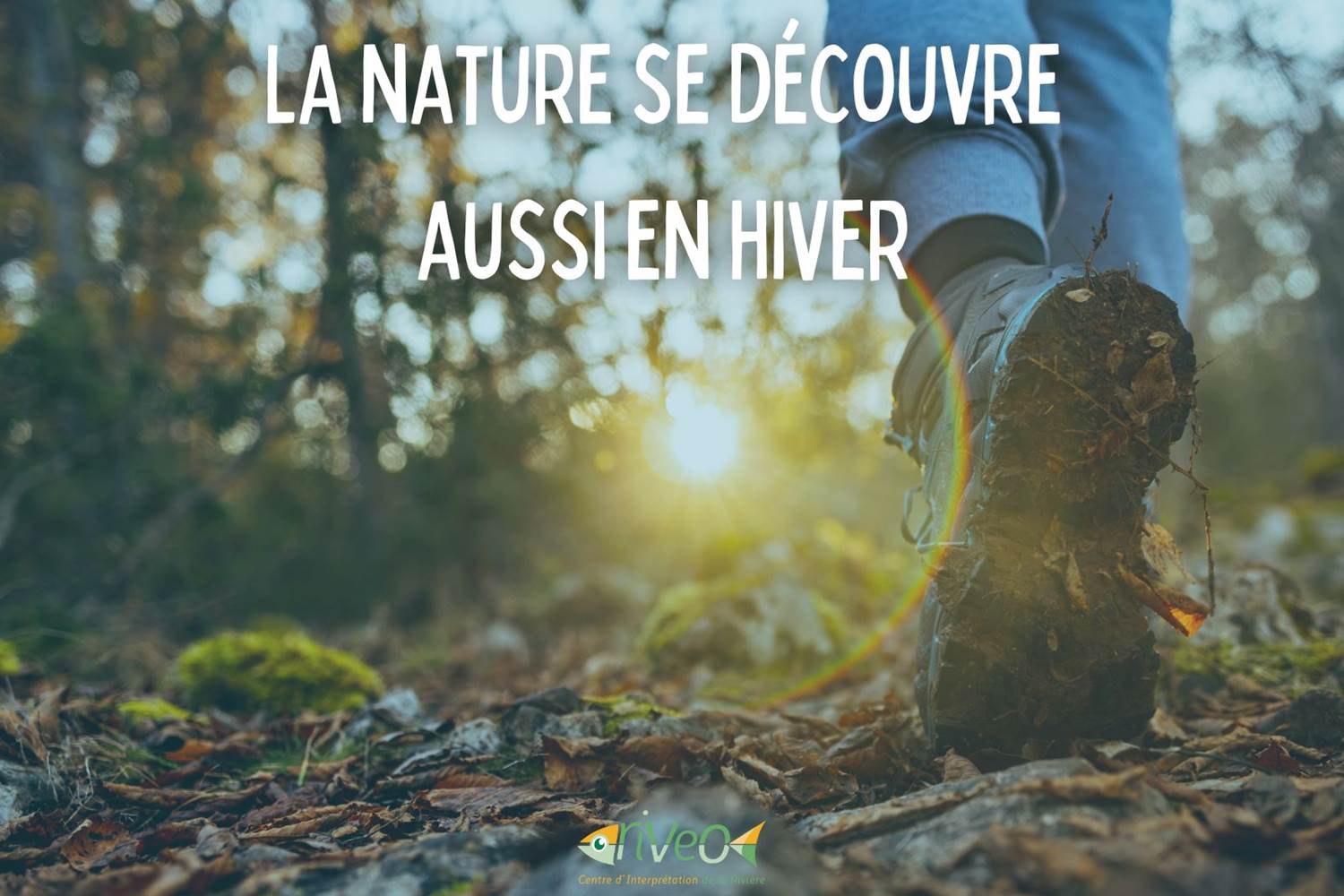 decouverte-nature-ardenne-famille