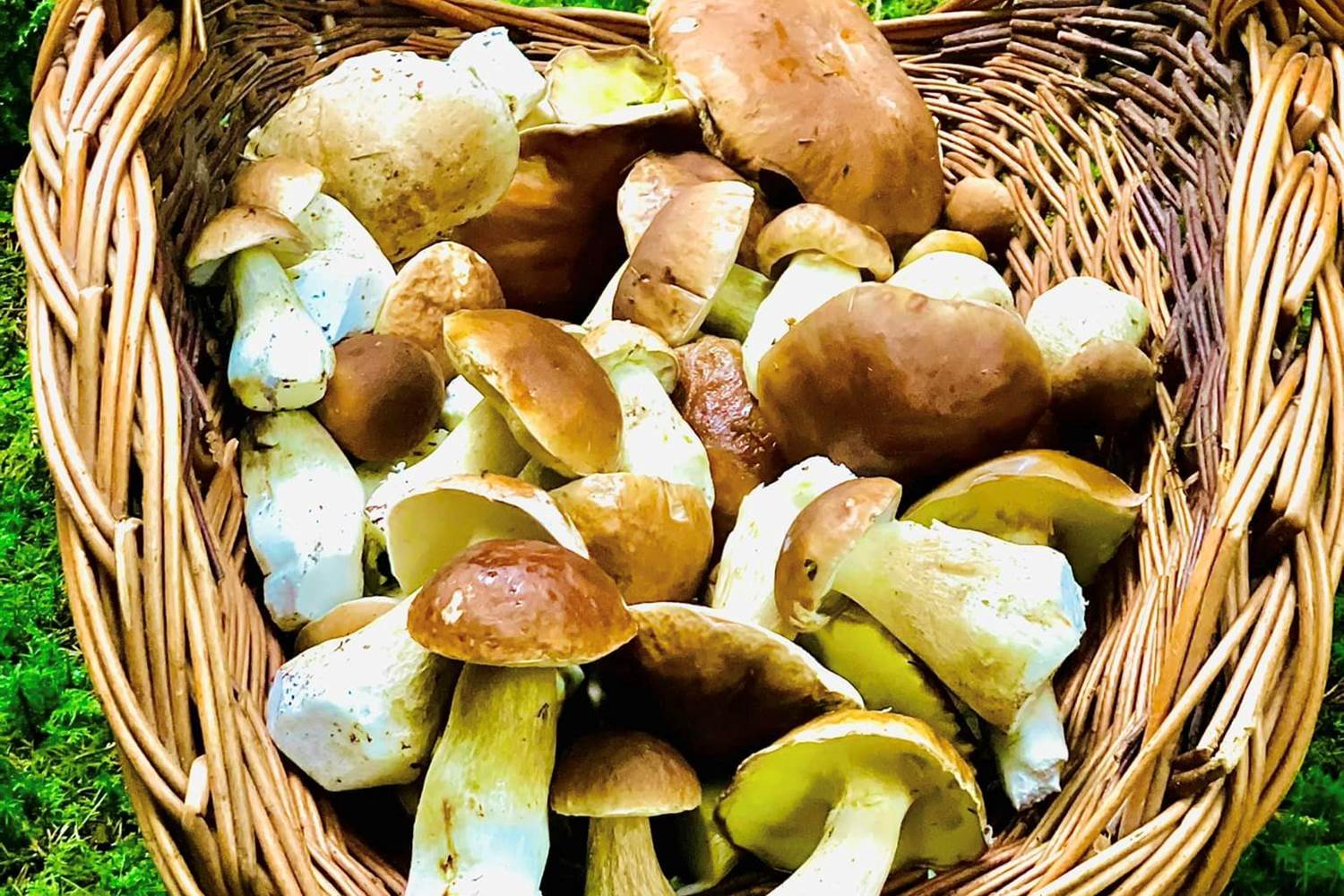 309854249_470101238466685_8076858875166028562_n