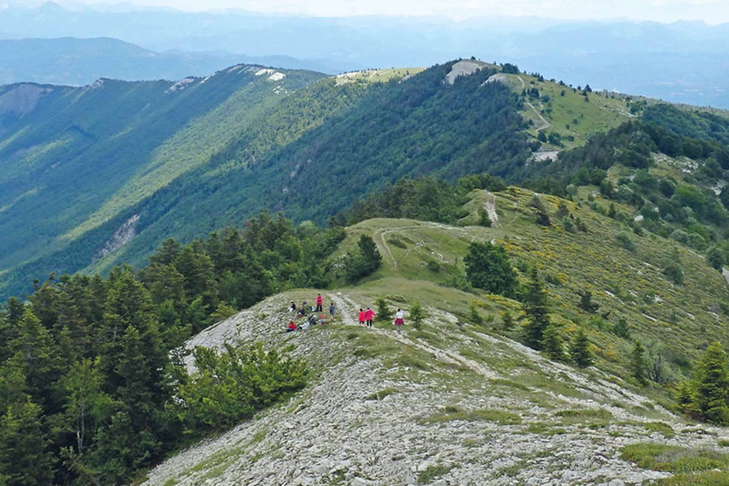 Randonnée sur la montagne de Lure