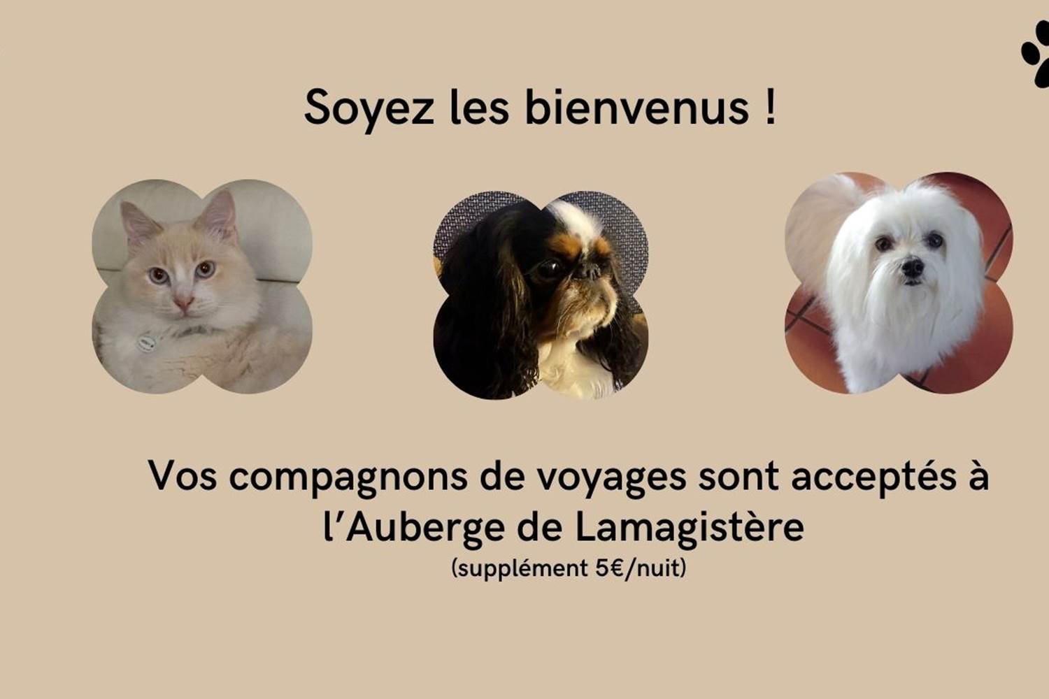 ANIMAUX ACCEPTES