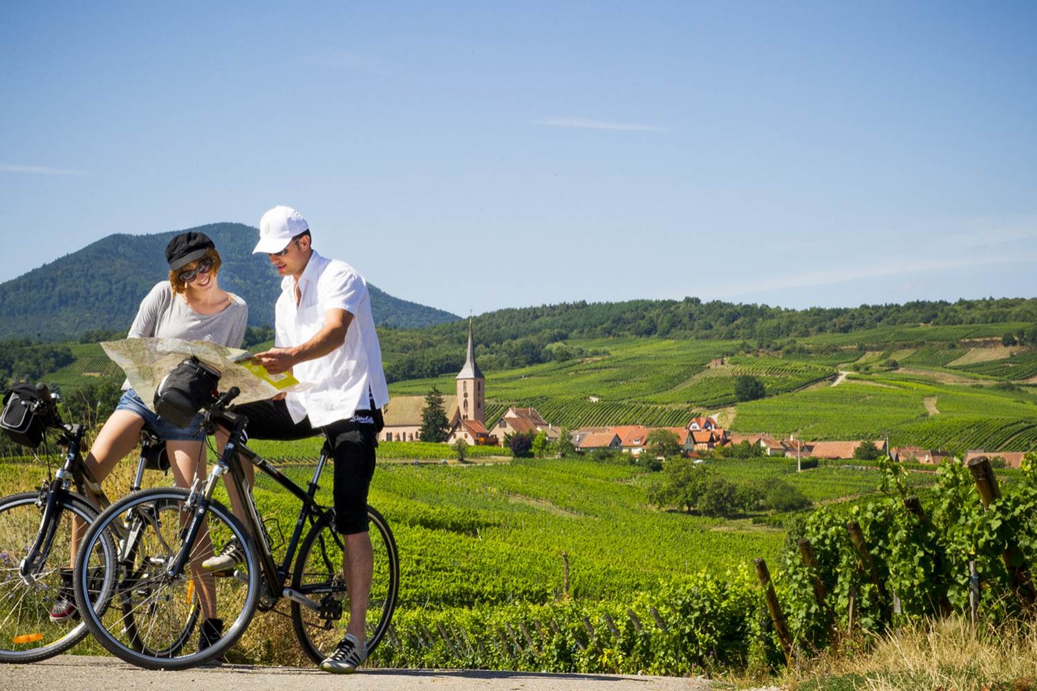 Route du vin, wine road, Weinstrasse