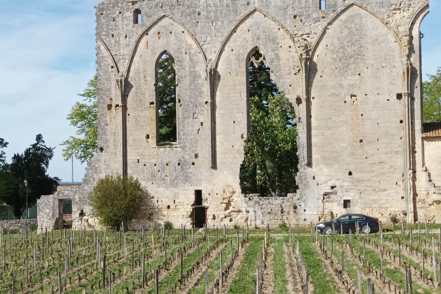 Nid Cosy Bordeaux - La Grande Muraille