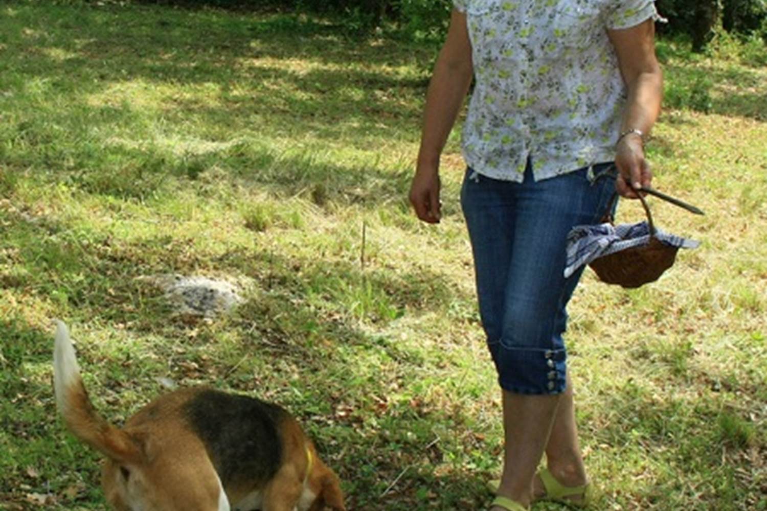 Truffe Passion à Limogne © Lot Tourisme - Truffe Passion 130615-155326