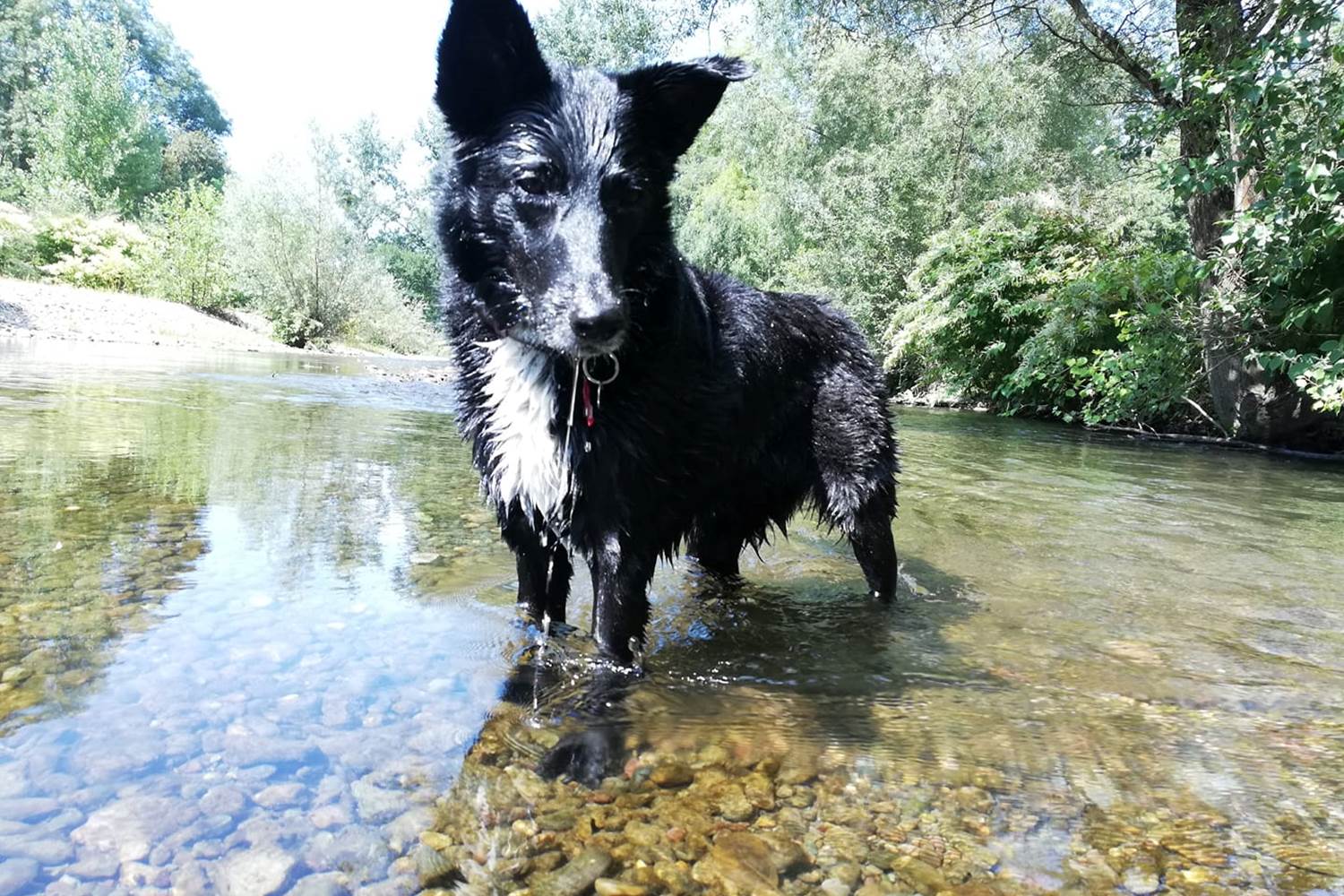 rivière-au-parcours-santé