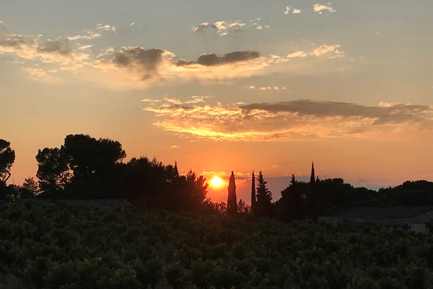 Gîte Le Levant - Coucher de soleil sur les vignobles de Châteauneuf du Pape