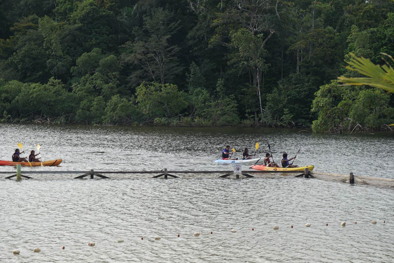 Canoë-kayak