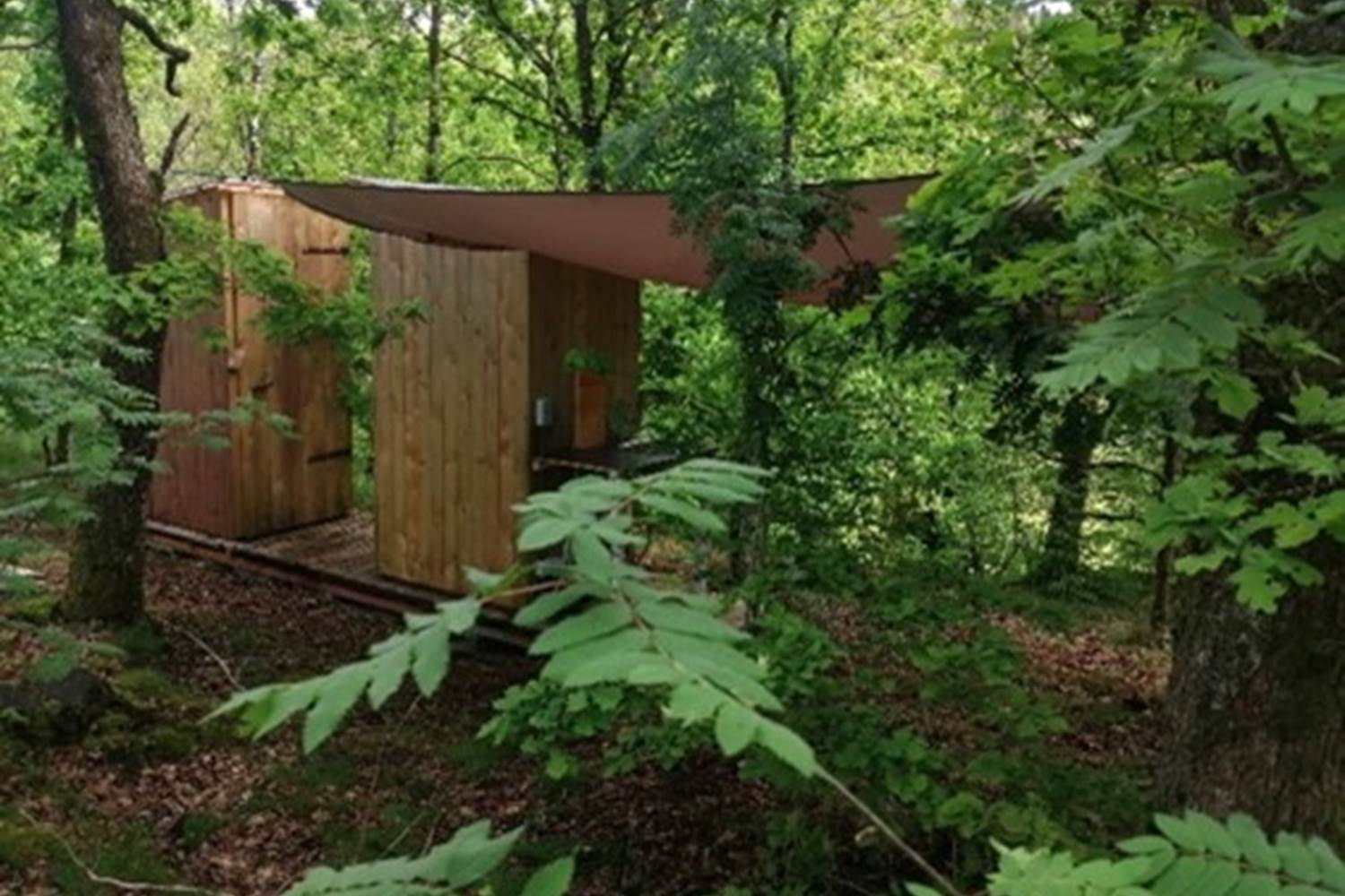 Mon lit dans l'arbre