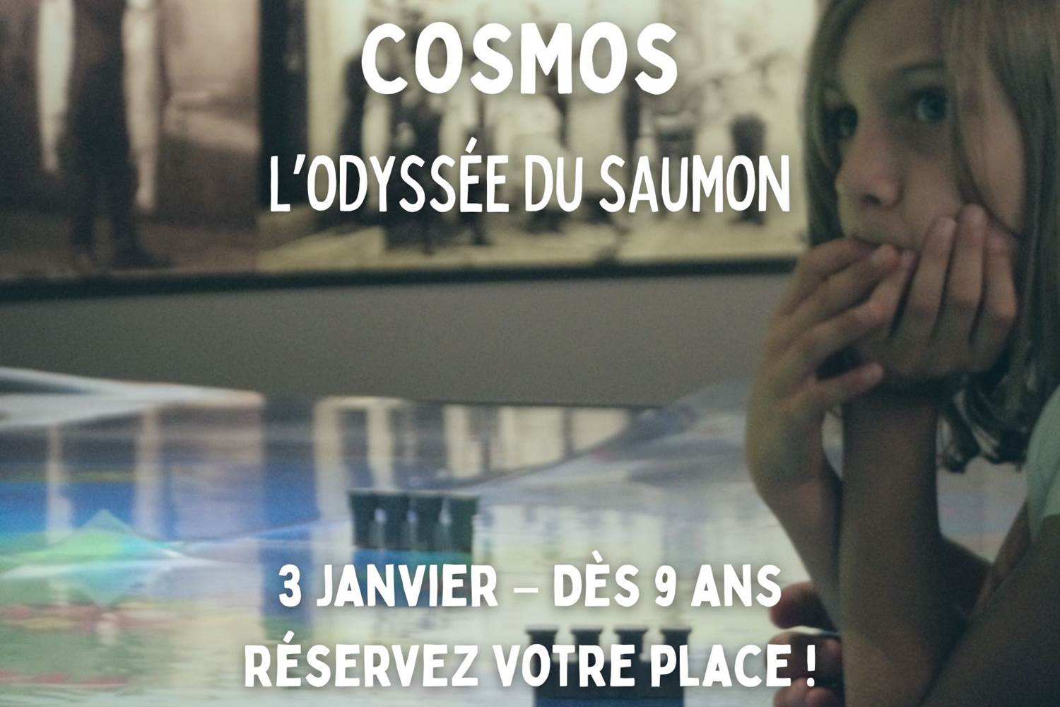 cosmos-odyssee-du-saumon-erezee