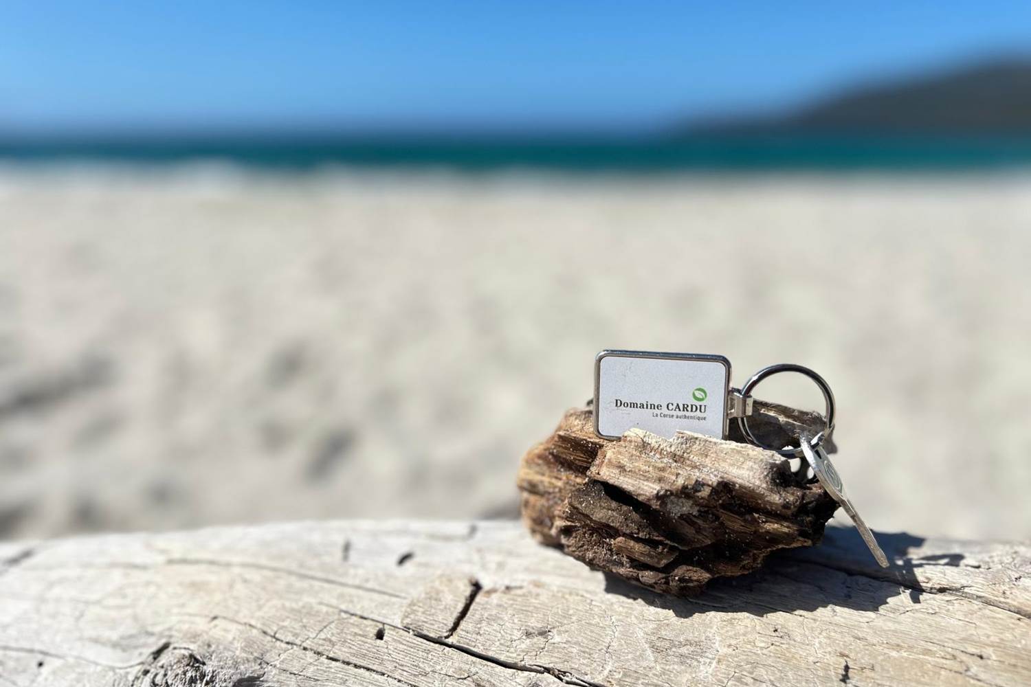 Porte-clés du Domaine Cardu posé sur un bois flotté, sur une plage de Corse, symbole d'un séjour authentique et relaxant.