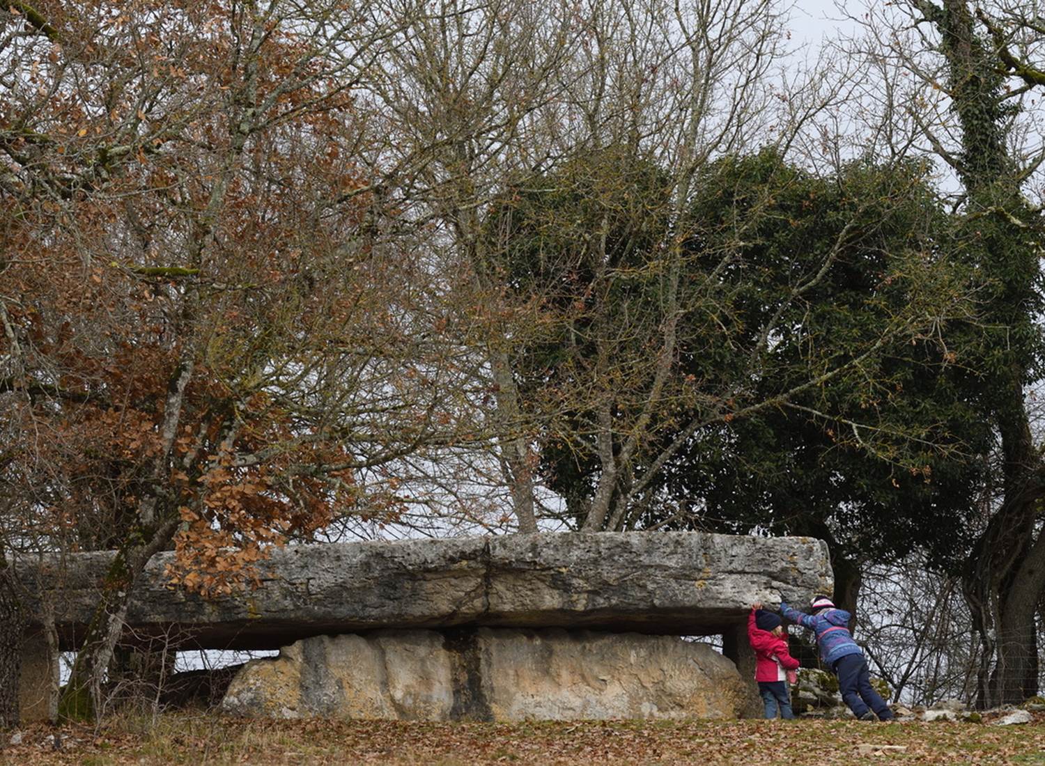 Dolmen de la Pierre-Martine à Livernon