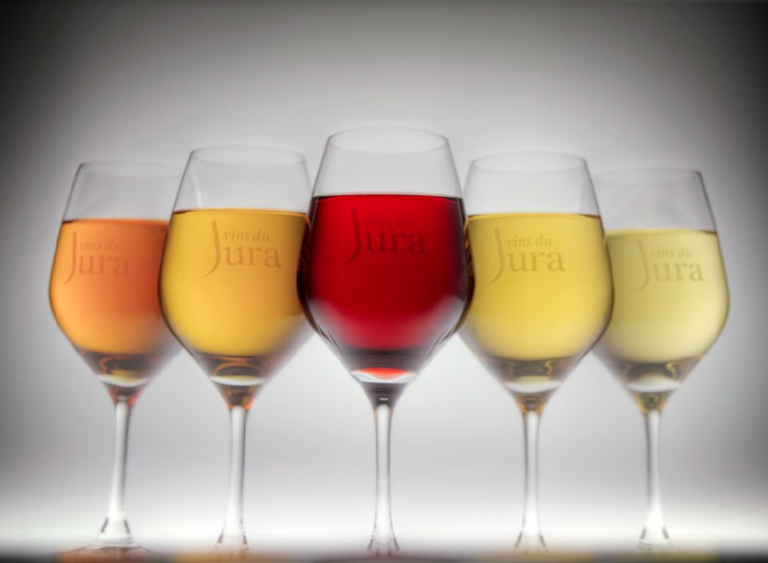 dégustation vin jura