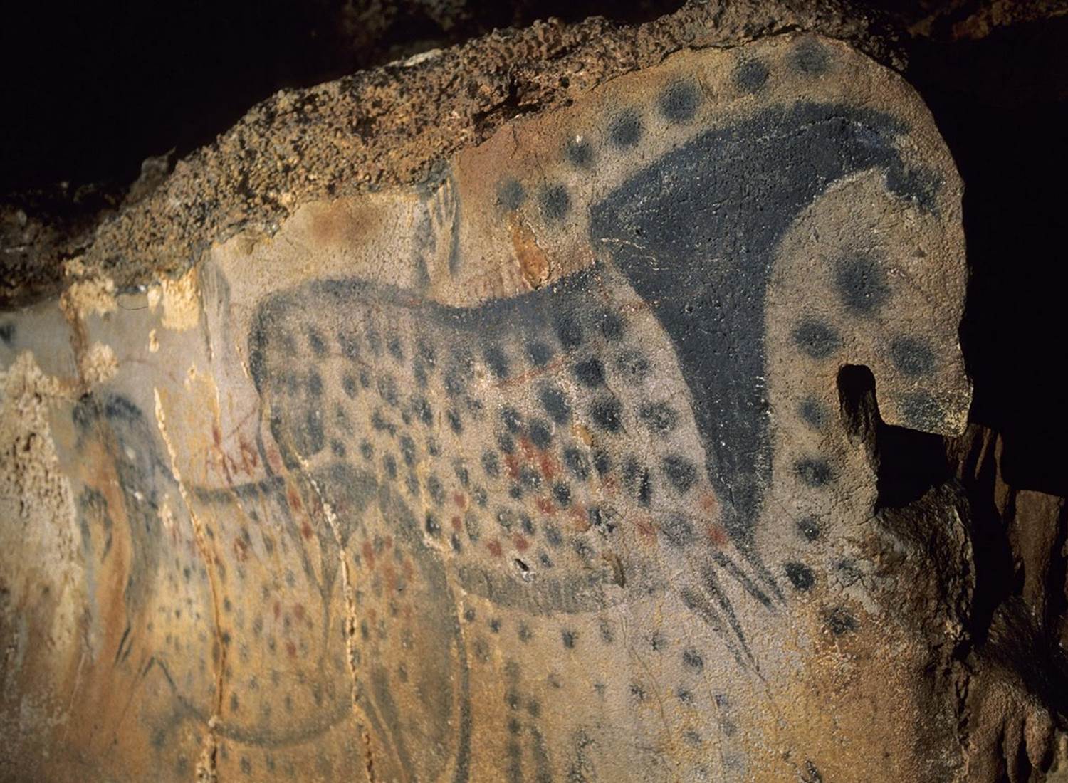 La Grotte du Pech Merle - Chevaux