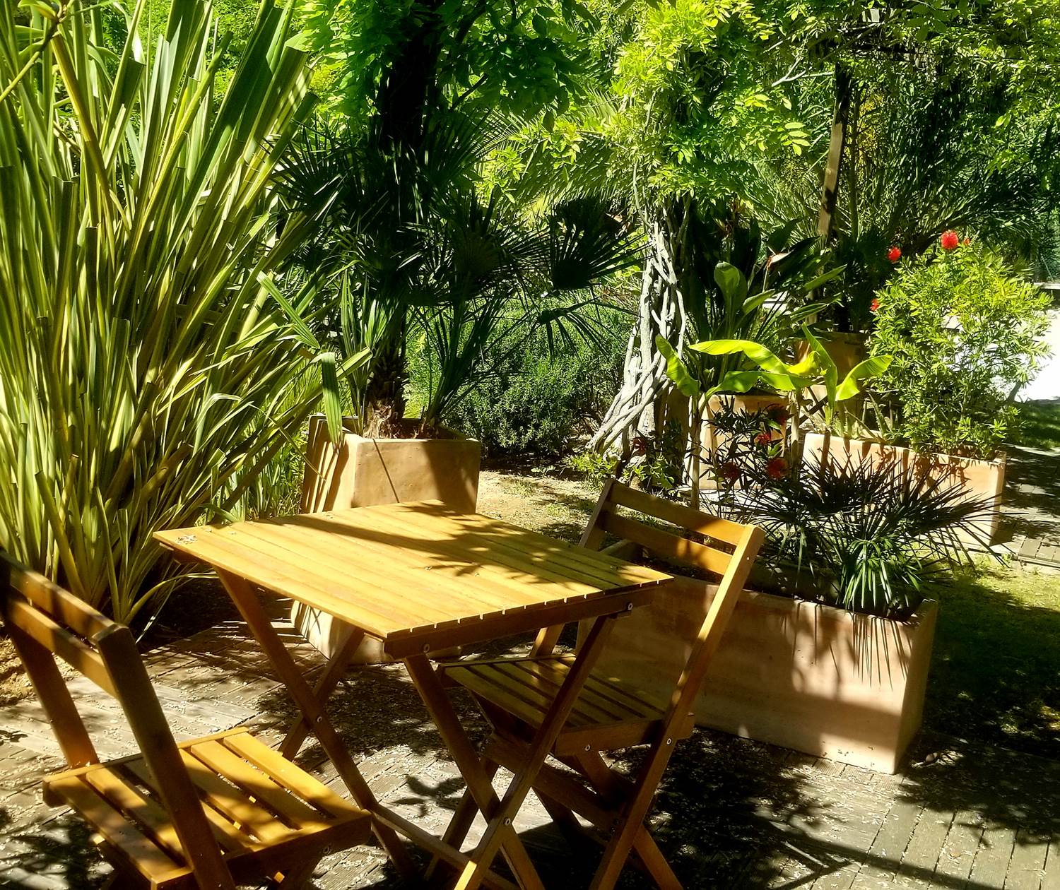 Terrasse Chambre Hibiscus