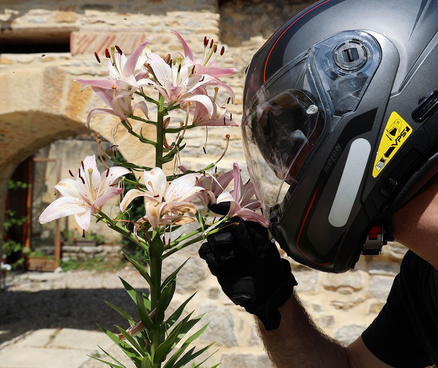 Chateau de Saint Chamarand, Relais Motards