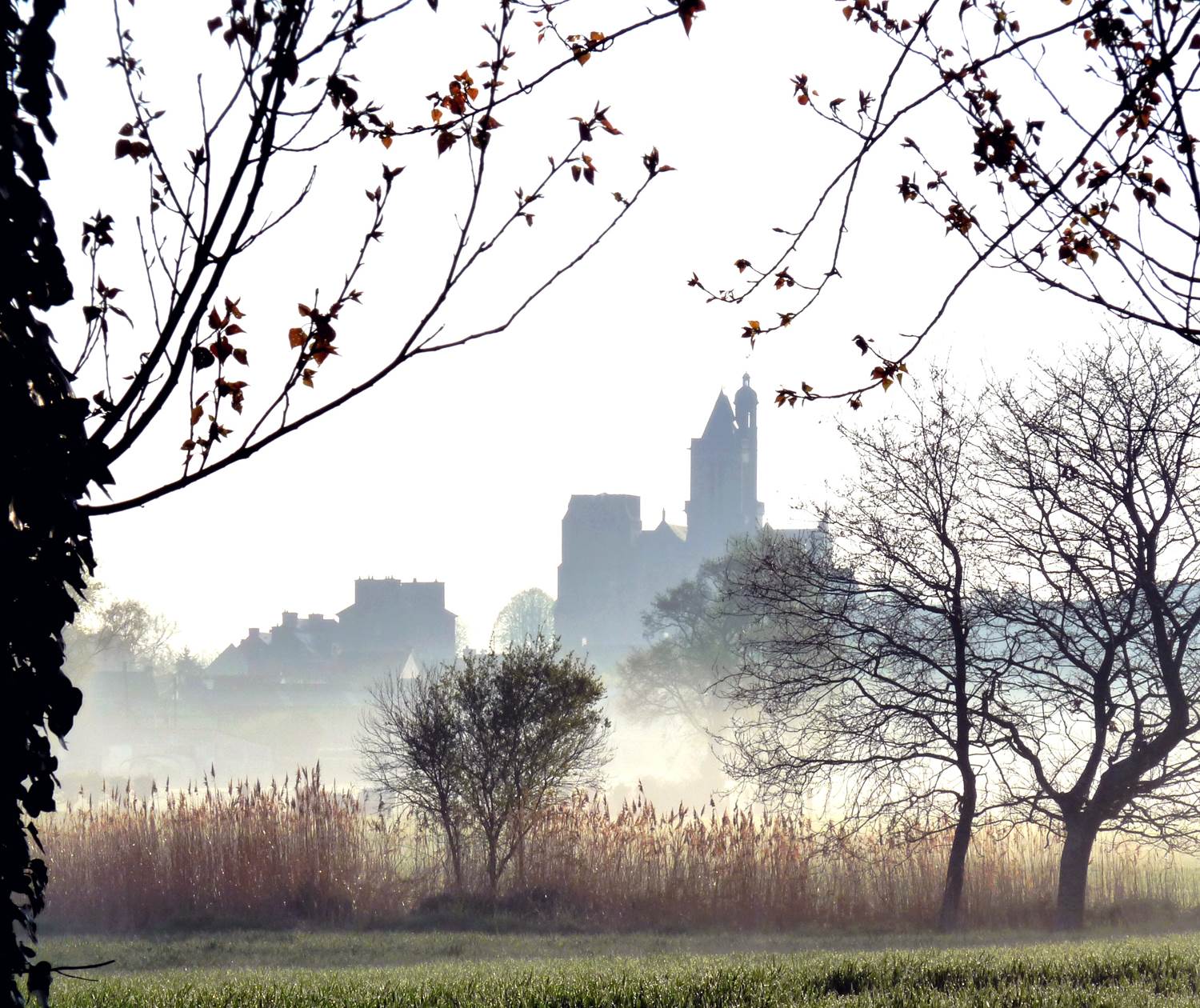 La Cathédrale dans la brume