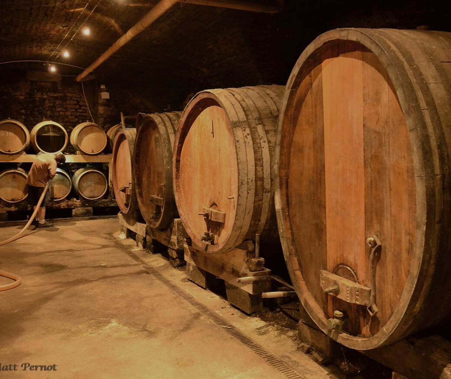 L'élevage en fûts de chêne