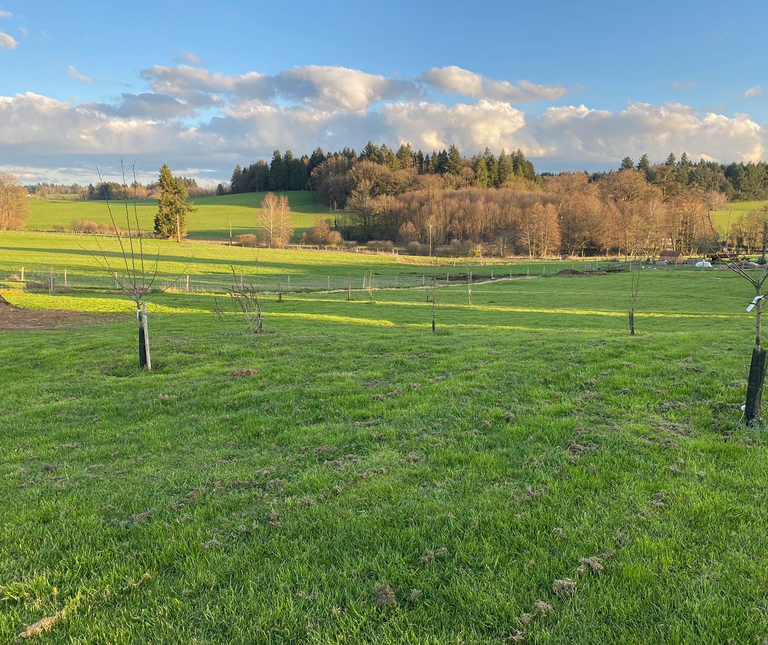 Les terres de la chouette, oui c'est votre emplacement bien au calme et entouré de nature