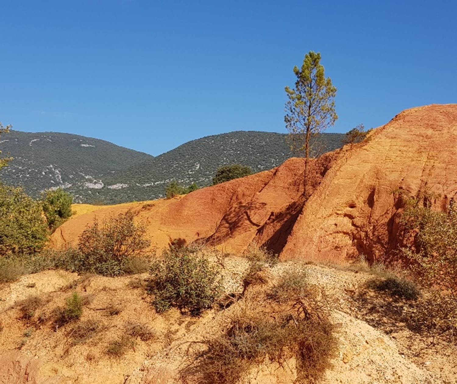 Colorado provençal D