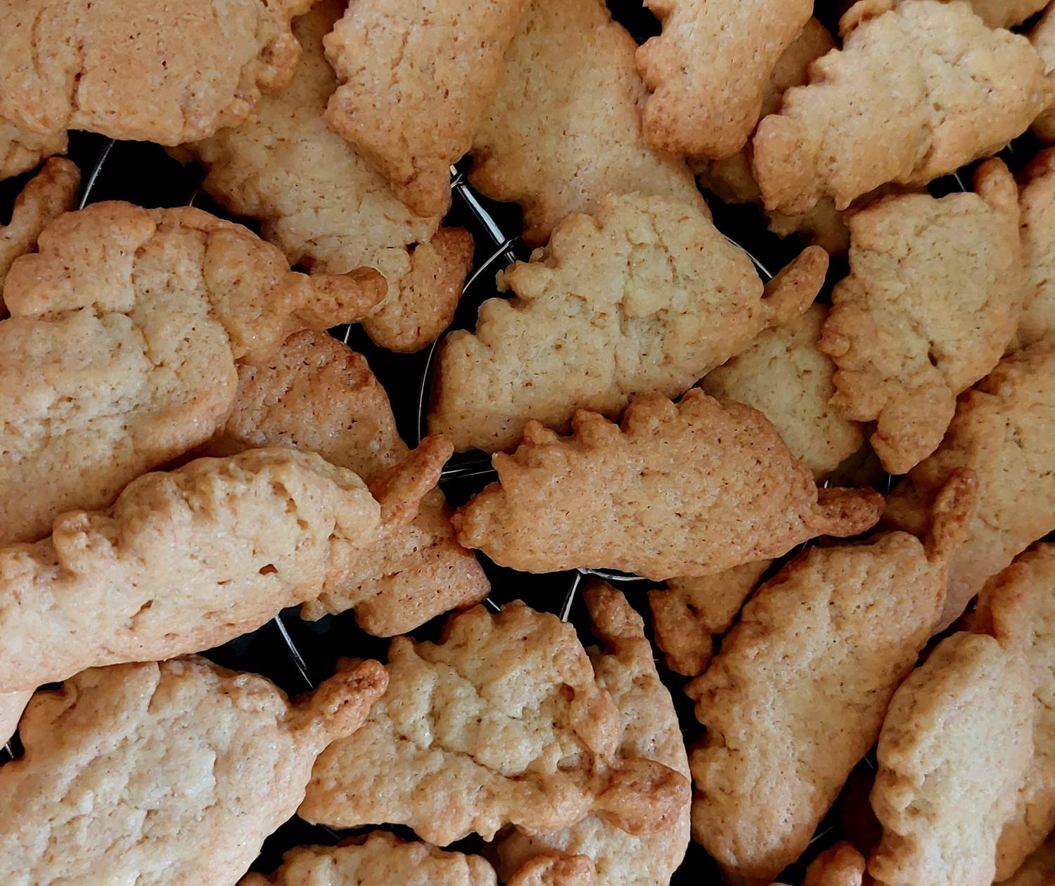 Biscuits artisanaux faits maison en forme de carte de la Corse servis au petit-déjeuner du Domaine Cardu