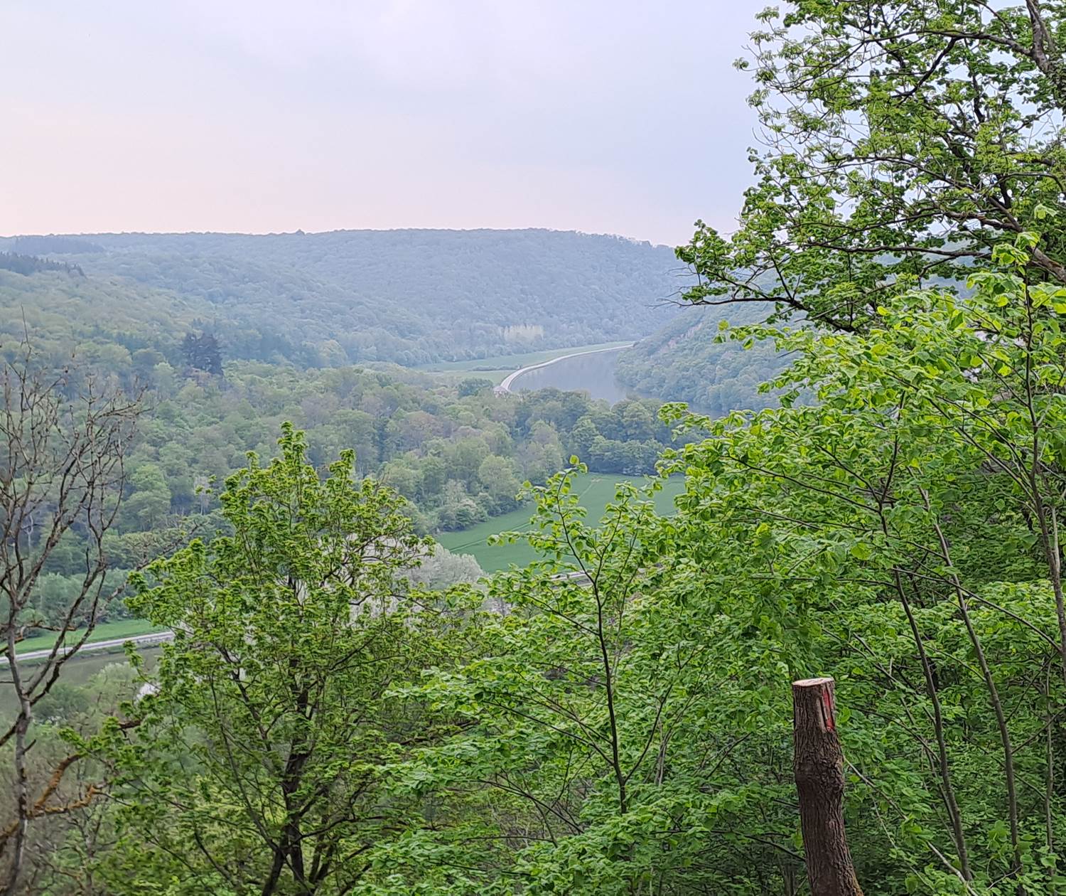 Vallée de la Meuse depuis le Colébi
