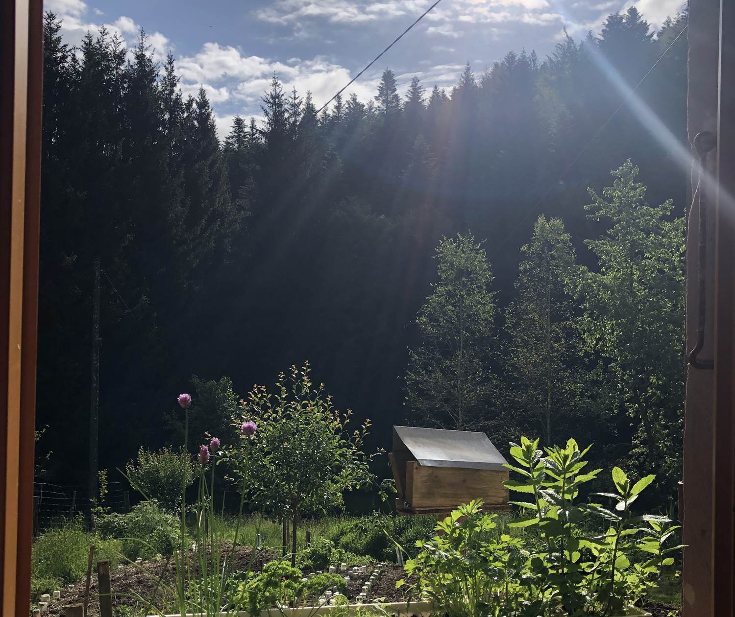 En permaculture, chaque espace est réfléchi