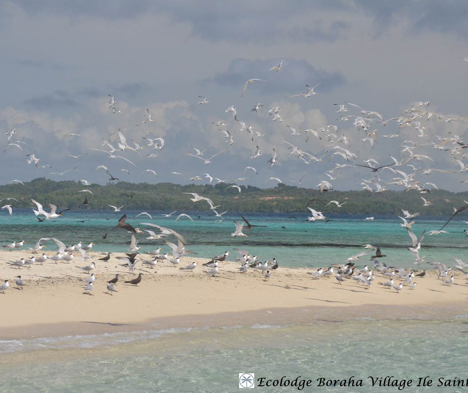 Ilöts de Sable Ile Ste Marie Madagascar 21