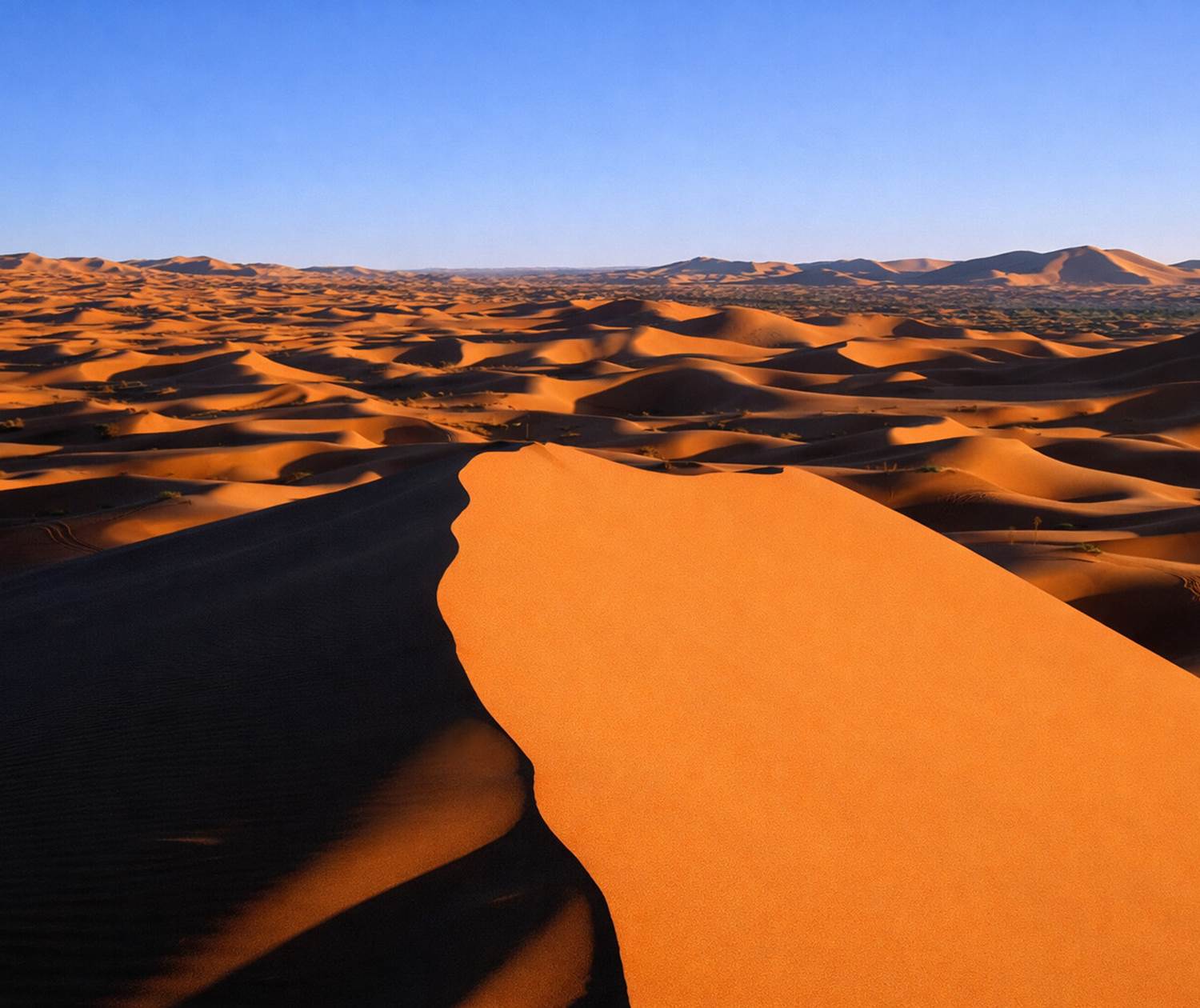 Les dunes de l'erg Chebbi