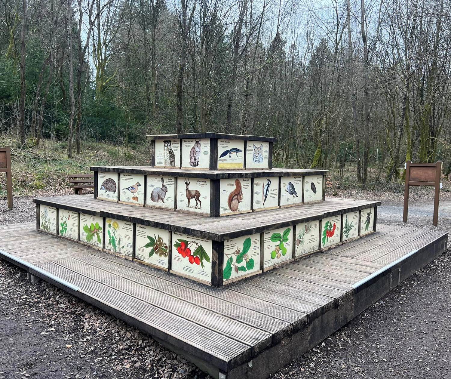 pyramide alimentaire