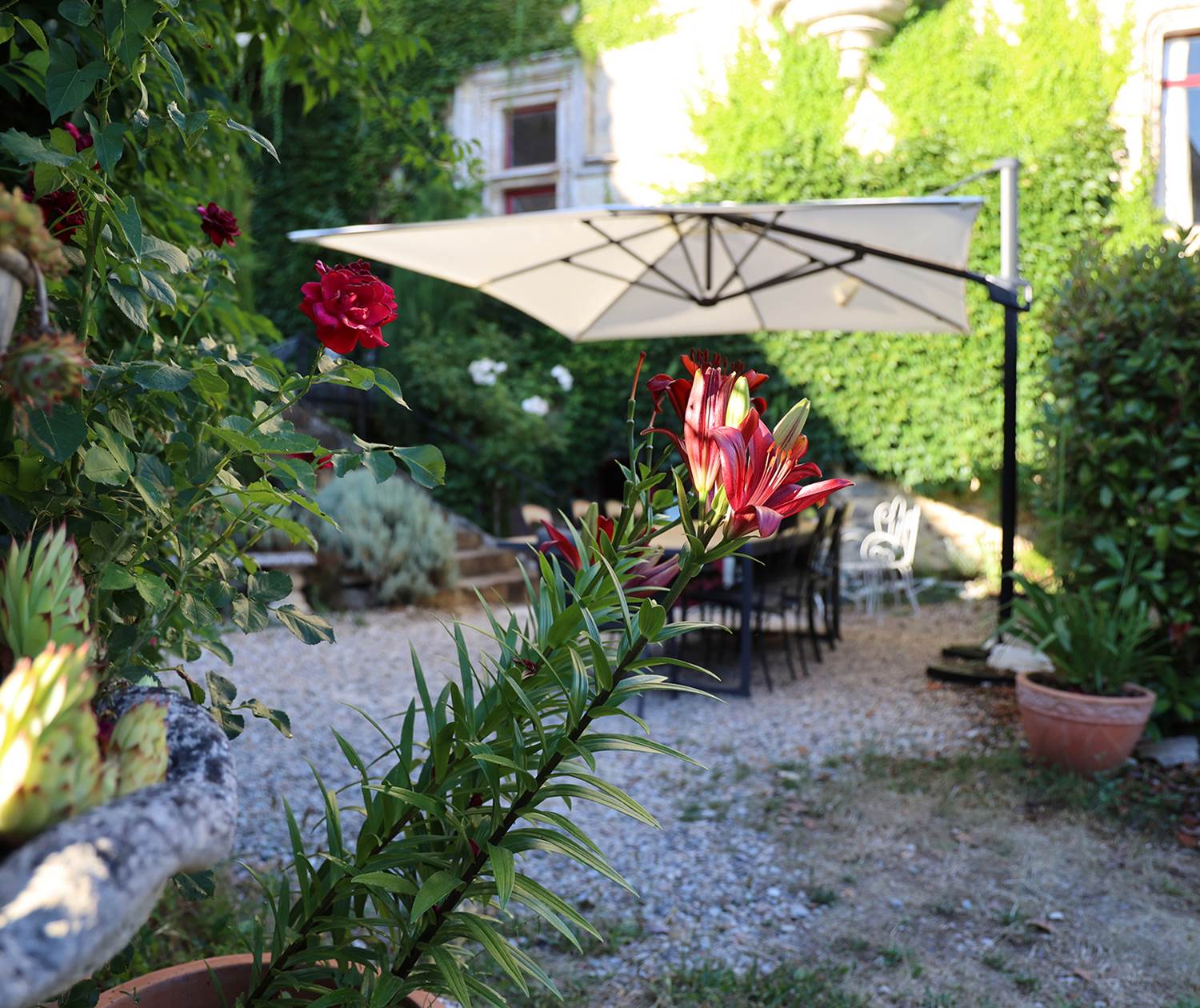 Chateau de Saint Chamarand - Exterieur, terasse et jardin