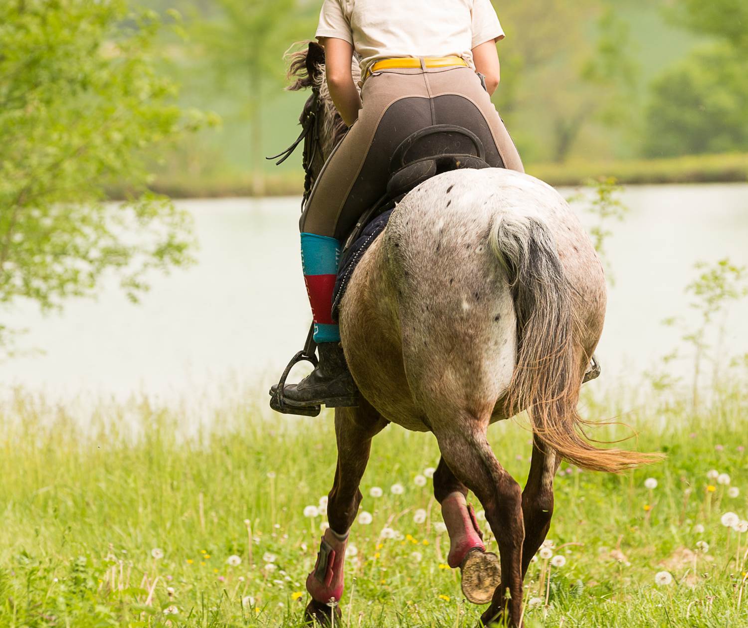 OLIVIERGASCOIN180423-5D-0029