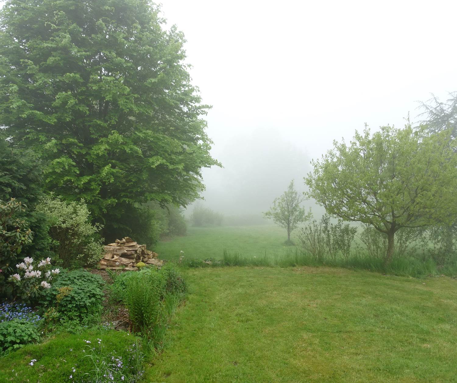 brouillard matinal