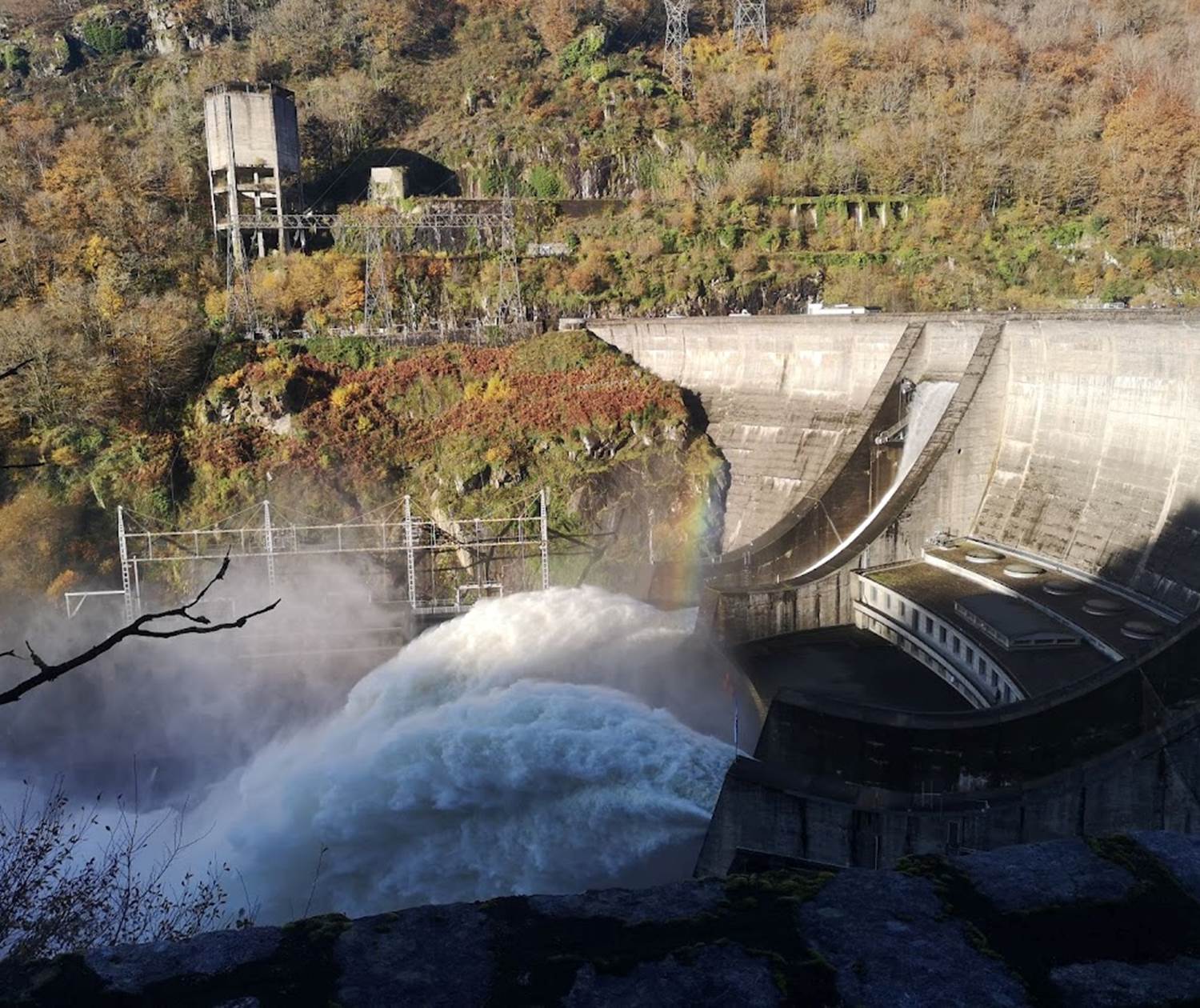 Monédière copyright