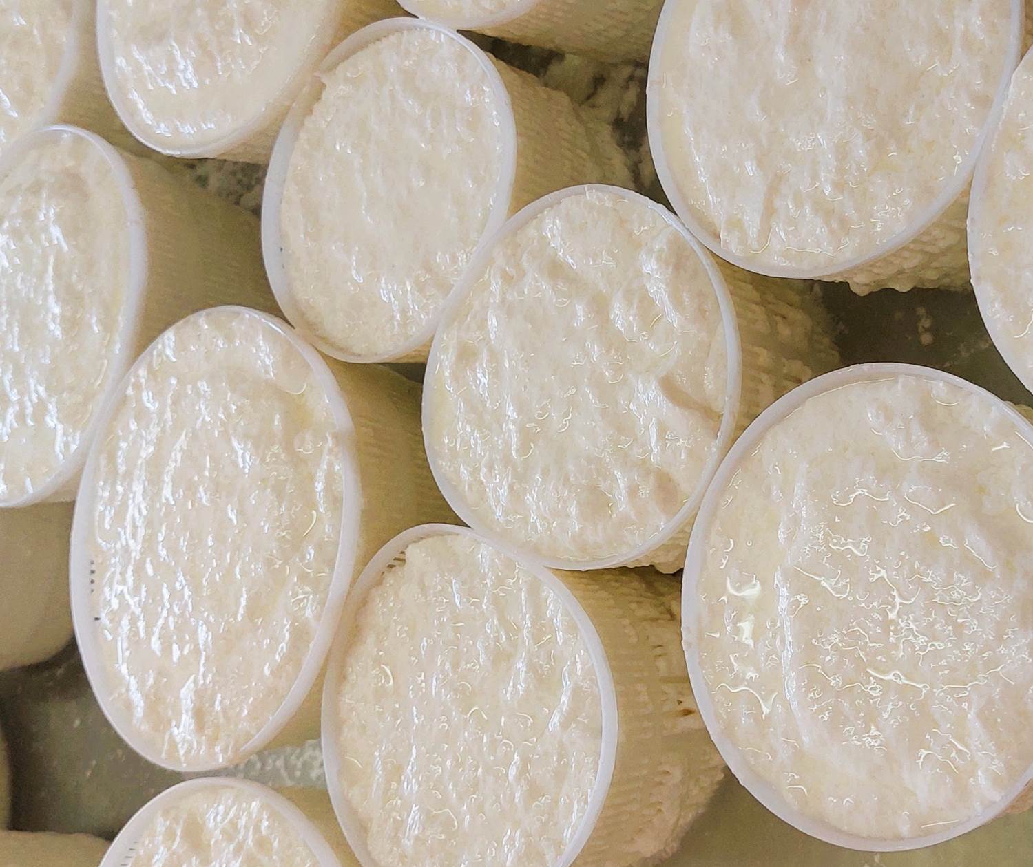 Brocciu frais artisanal et fromages corses produits localement, servis à la table d'hôtes du Domaine Cardu.