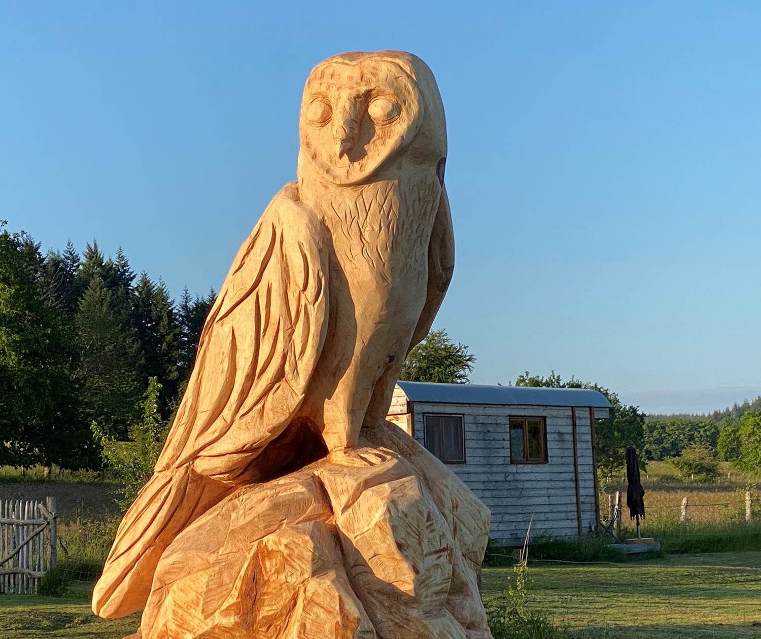 Les terres de la chouette, la nouvelle gardienne des lieux