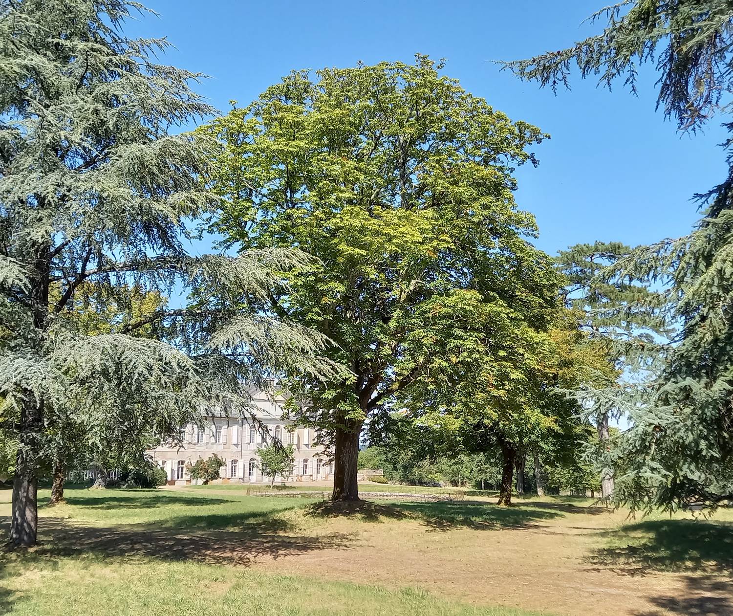 Le Château de la Pannonie