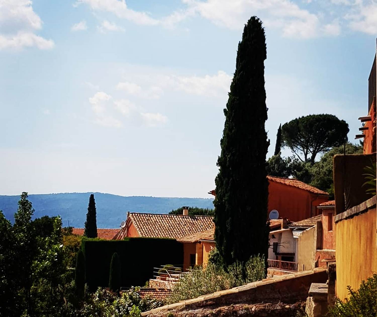Pins_et_cyprès en Provence sur les toits de Roussillon