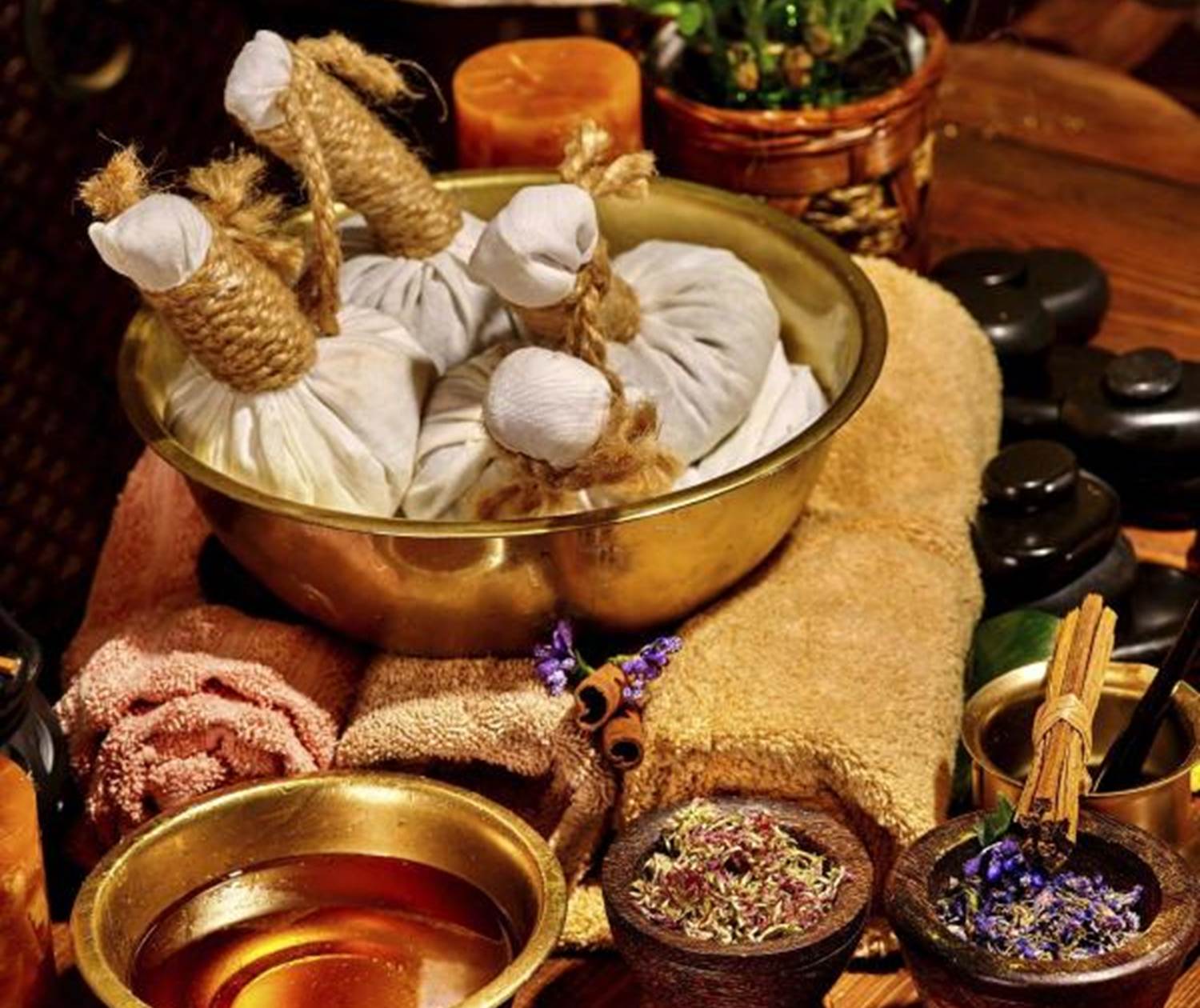 Bilan ayurvédique personnalisé