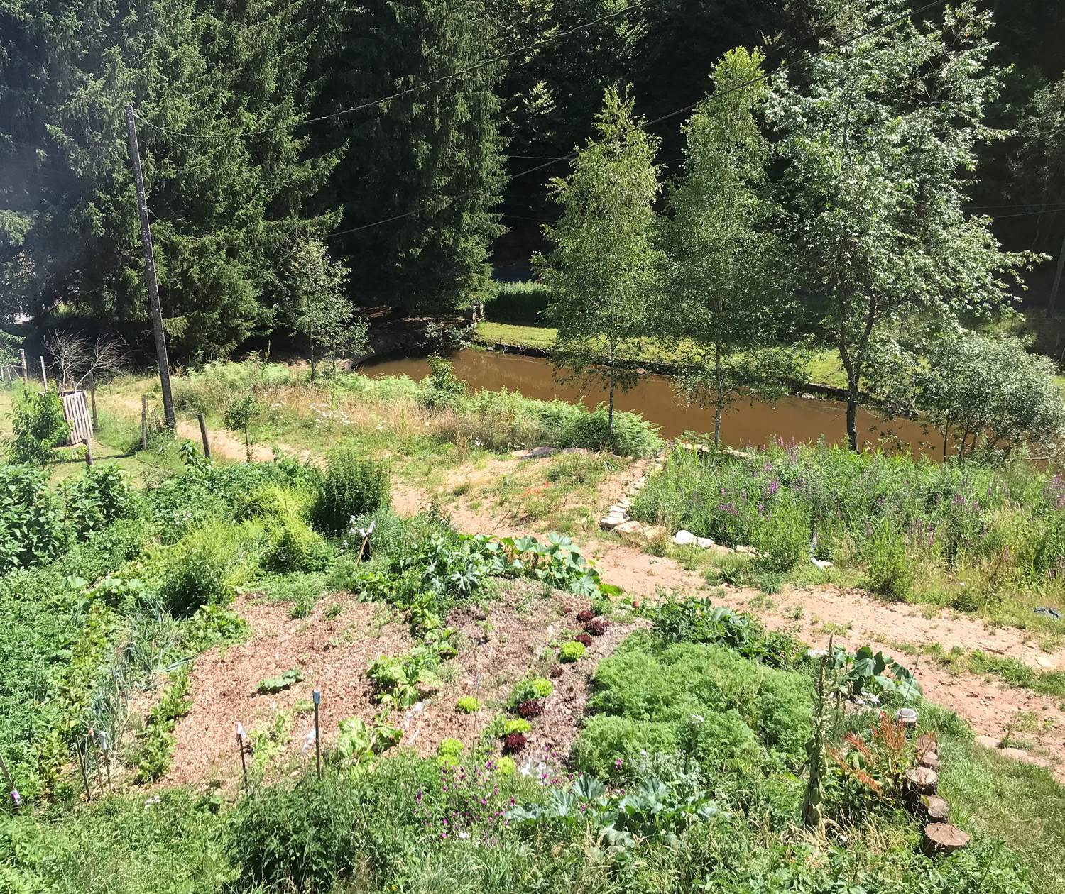 A l'orée de soi un site éco-responsable