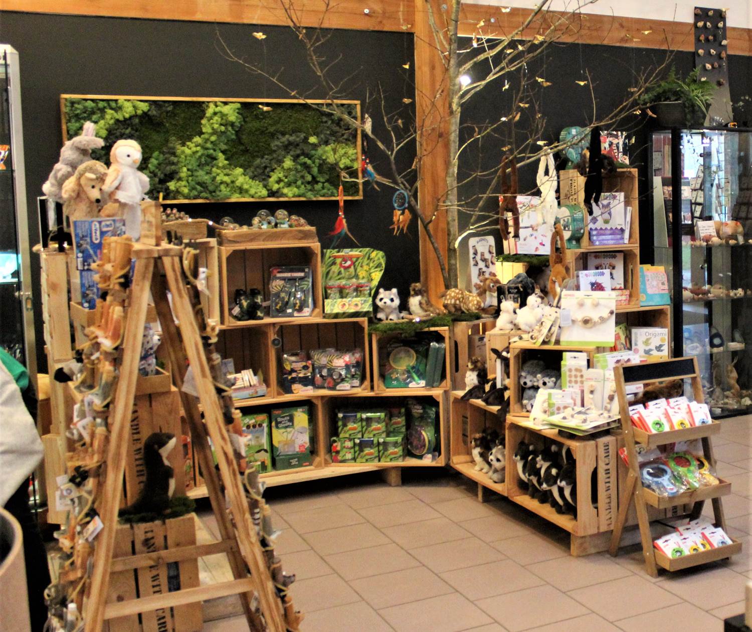 shop chlorophylle jeux