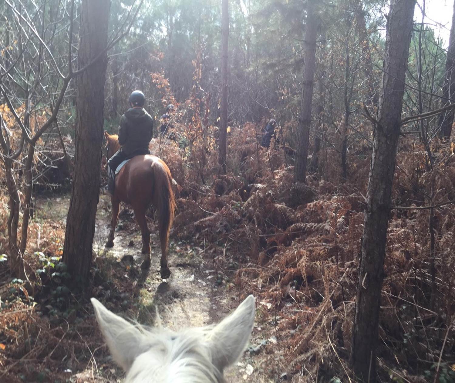 Randonnée à cheval