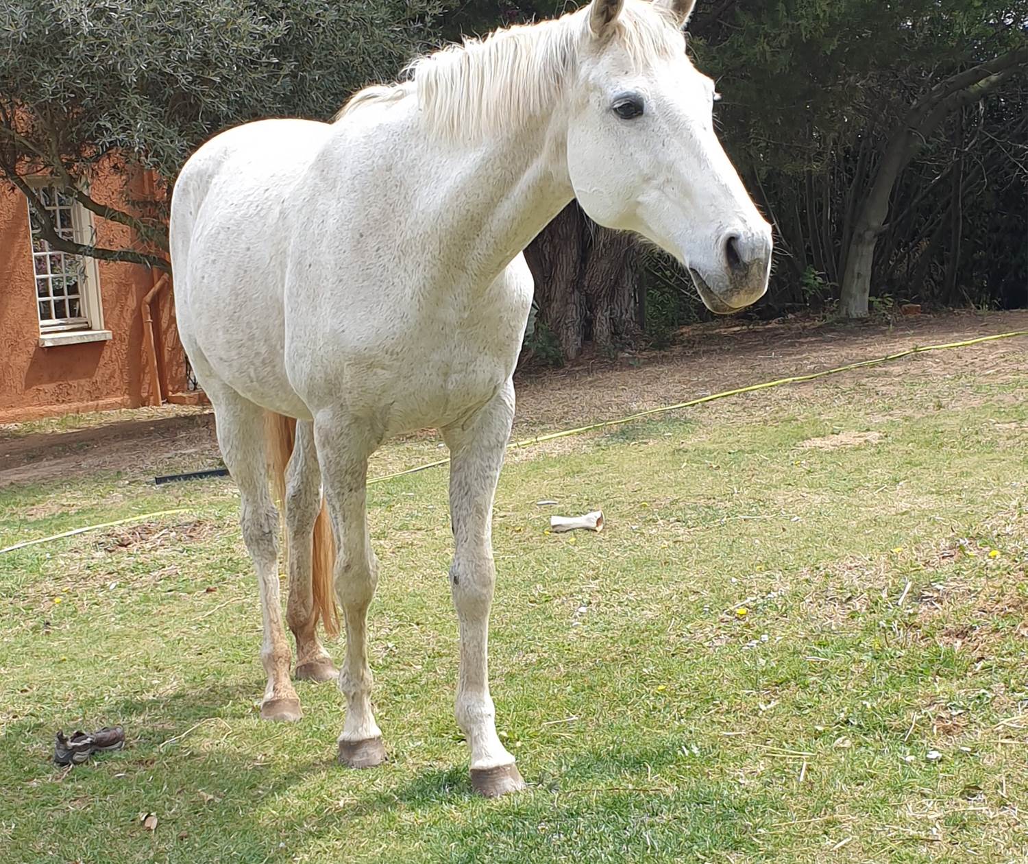 LES CHAMBRES DE MON P'TIT MAS - KEYEVA