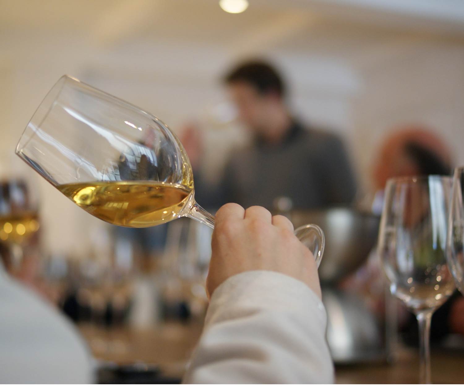 Dégustation Vin. Copyright.7725--GILLET_V_-_VPA-1600px