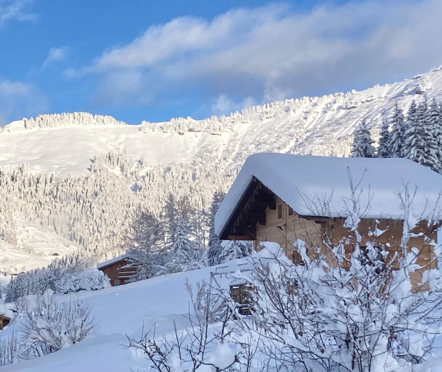 Les chalets d'Heidi