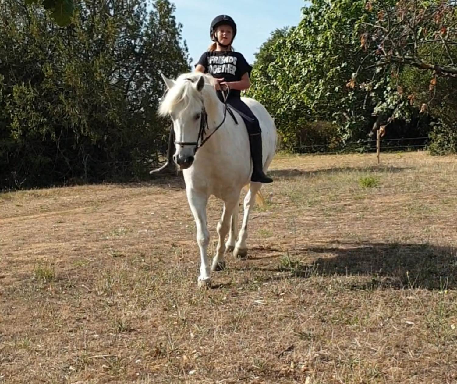 LES CHAMBRES DE MON P'TIT MAS - chambres d'hôtes - autour du cheval-